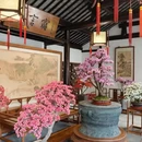 苏州旅游 缩略图 6