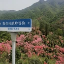 六安旅游 缩略图 5