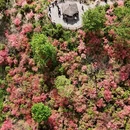 六安旅游 缩略图 6