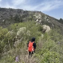 武汉旅游 缩略图 14