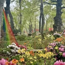 苏州旅游 缩略图 5