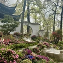 苏州旅游 缩略图 10
