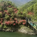 六安旅游 缩略图 7
