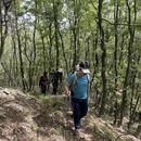 武汉旅游 缩略图 16