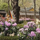 苏州旅游 缩略图 9