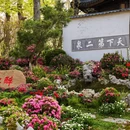 苏州旅游 缩略图 4