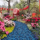 苏州旅游 缩略图 7