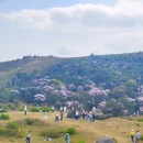 云浮旅游 缩略图 9