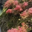 六安旅游 缩略图 11
