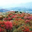 毕节旅游 缩略图 2