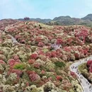 毕节旅游 缩略图 3