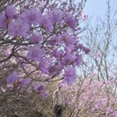 北京旅游 缩略图 1