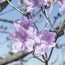 北京旅游 缩略图 4
