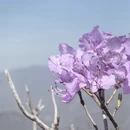北京旅游 缩略图 5