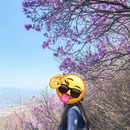 北京旅游 缩略图 2