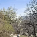 北京旅游 缩略图 7