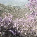 北京旅游 缩略图 8