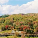 毕节旅游 缩略图 5