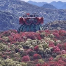 毕节旅游 缩略图 4