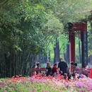 武汉旅游 缩略图 5