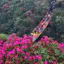 毕节旅游 缩略图 6