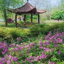 武汉旅游 缩略图 7