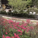 南京旅游 缩略图 9