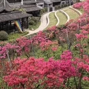 南京旅游 缩略图 8