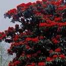 毕节旅游 缩略图 3