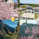 苏州旅游 缩略图 5