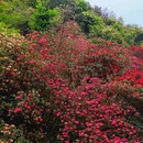 毕节旅游 缩略图 5