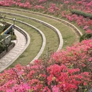 南京旅游 缩略图 12