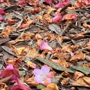毕节旅游 缩略图 7