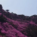 青岛旅游 缩略图 3