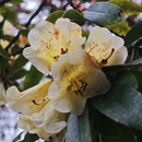 毕节旅游 缩略图 8