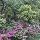 武汉旅游 缩略图 6