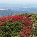 南昌旅游 缩略图 2
