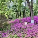 武汉旅游 缩略图 7