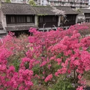 南京旅游 缩略图 5