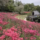 南京旅游 缩略图 4