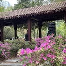 武汉旅游 缩略图 8