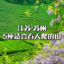 苏州旅游 缩略图 1