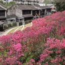 南京旅游 缩略图 7