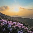 六盘水旅游 缩略图 12