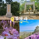 苏州旅游 缩略图 3