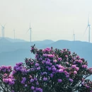 六盘水旅游 缩略图 13
