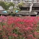 南京旅游 缩略图 6