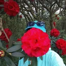 毕节旅游 缩略图 1