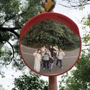 深圳旅游 缩略图 2