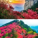 黄冈旅游 缩略图 1